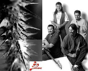 Big Saviour, Harbour Sounds