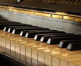 Jack Mcleod, Harbour Sounds